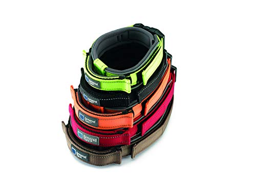 Armored Tech Dog Control Halsband mit integrierter Kurzleine (XS - Halsumfang 31-35 cm, schwarz)
