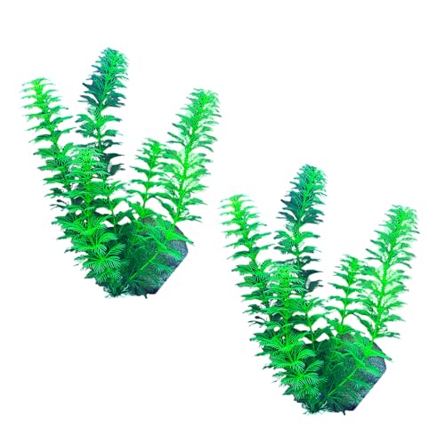 ^NXg[lHV~[VhXP[vOXA^N^NAvtFbViANAXP[sOpi