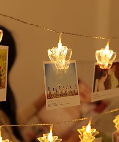 Ignitate Butterfly Photo Clips Plug in String Light 12 Ft for Home Decoration (16 Clips, Warm White)(Plastic, LED )