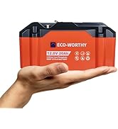 ECO-WORTHY Portable 12V 20Ah Lithium Iron Phosphate DEEP Cycle Battery with BT 5.1, Built-in BMS ...