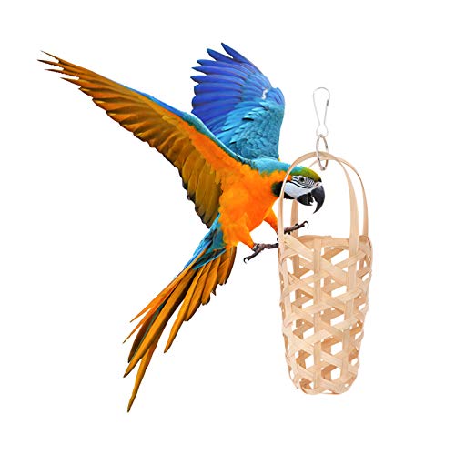 POPETPOP PÃ¡ssaro Papagaio Brinquedos PÃ¡ssaro BalanÃ§ar Brinquedo Alimentador de PÃ¡ssaros Brinqued