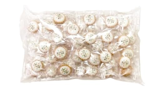 ySSRzzp  bZ[W ACVOrXPbgu肪Ƃ܂v 210gi60jَq  v`Mtg rXPbg ACVONbL[ v[g Mtg Ǝ  A c ʉ ٓ ސE ] A