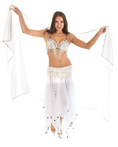 The Turkish Emporium Decorated Chiffon Belly Dance Veil with Trim (White/Silver) [Apparel]