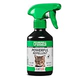 RepellShield Cat Repellent Spray - Natural Citronella Oil, Pet-Safe, Non-Toxic, High Efficiency Animal Control for Homes, Lemon Scented, Versatile Indoors & Outdoors - Responsible Deterrence, 250ml