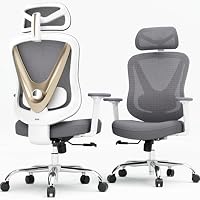 HOLLUDLE Ergonomischer Bürostuhl mit 3D Lendenstütze & 3D verstellbaren Armlehnen – V-förmiges Rücken-Design, bequemer Schreibtischstuhl für Büro & Zuhause, Weiß-Gold – Ansicht 6