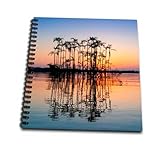 8 x 8 inches spiral bound glossy hard covered 9/16 inch twin loop wire binding spine 50 unlined pages, 8 x 7.75 inches - page thickness is 80lb text Acid free blank bright white non-coated paper Pages lay flat when book is opened