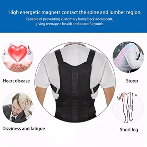 Faja Lumbar Corrector de Espalda Magnético con Banda Ajustable 2