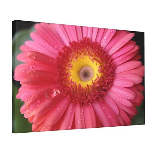 Toile fleur gerbera 30x45cm pour raviver un mur blanc de chambre