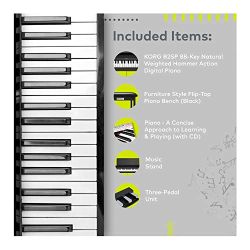 Korg B2SP Piano numérique 88 touches avec support, unité à trois pédales, banc de piano Knox Gear et livre de piano (3… - Les Beatles, Paul McCartney, John Lennon, RIngo Starr, George Harrison Korg B2SP Piano numérique 88 touches avec support, unité à trois pédales, banc de piano Knox Gear et livre de piano (3… – Image 7