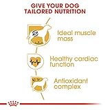 Royal Canin 35141 Breed Boxer 12 kg - Hundefutter
