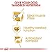 Royal Canin 35141 Breed Boxer 12 kg - Hundefutter
