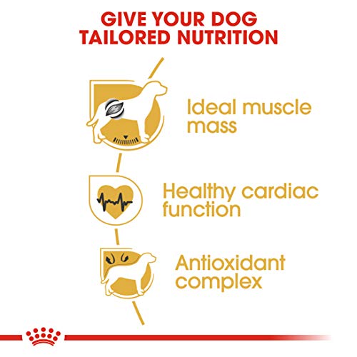 Royal Canin 35141 Breed Boxer 12 kg - Hundefutter