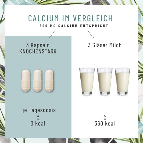NATURTREU® Calcium hochdosiert mit Vitamin C vegan - 120 Kalzium Kapseln 800mg hochdosiertes Calcium pro Tagesdosis - Ohne Zusatzstoffe