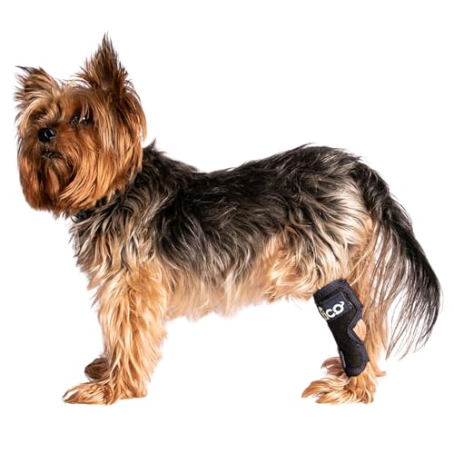 Fico Dog Hock Brace for Ankle Support & Arthritis, Vet Approved Dog Back Leg Brace, Adjustable with Removable Splints, Orthopedic Support for Injuries, Sprains & Post-Surgery Recovery (X Small)