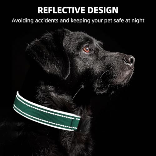 Image of Upgrade Dog Collar with AirTag Holder, IP68 Waterproof, Aqua, M