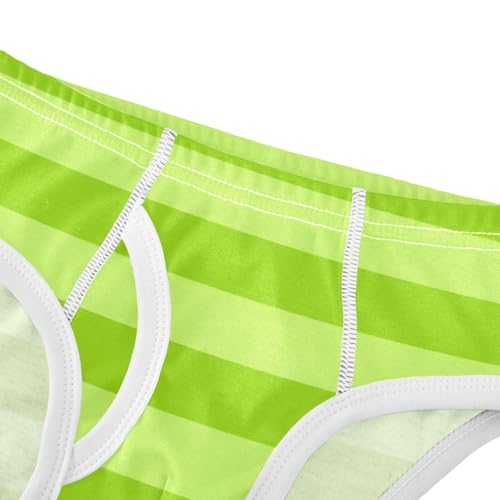 Gradient Green Stripe Toddler Boy's Underwear 2T4