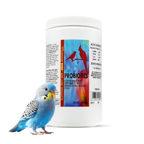 Morning Bird Probiotics for Birds 16 oz – Digestive Health Supplement Supporting Gut Balance, Nutrient Absorption & Immune Support – Easy Mix Powder Supplement for All Bird Species