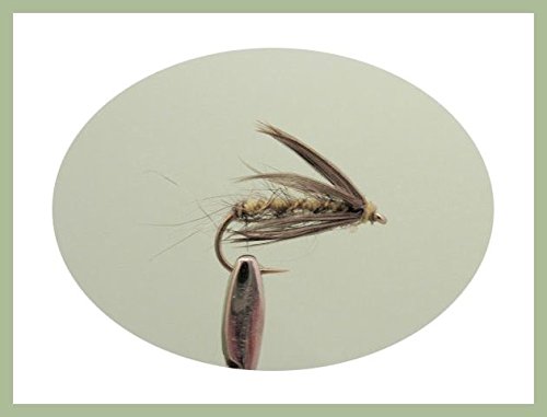 6 Pack of Waterhen Bloa Wet Fishing Flies, Choice (14/16)