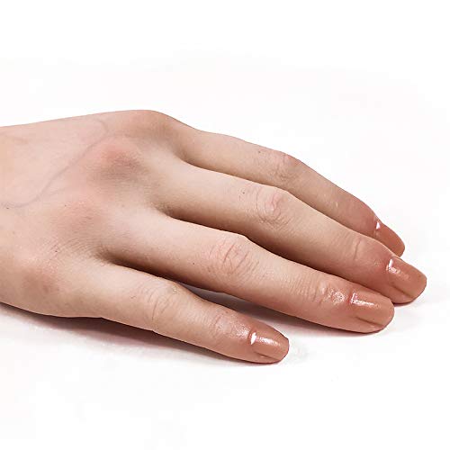 Amazon.co.jp: Podoll ハンドモデル 手 マネキン 模型 トルソー 女性