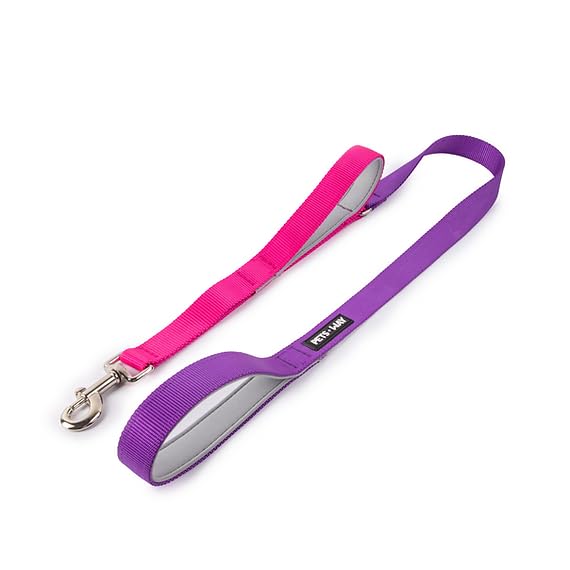 PETS WAY Padded Dog Walking Leash((4 Feet)Amethyst&Fuschia ),Double Handle Traffic Double Handle Traffic Solid Color Leash For Dogs Pet With Padded Handle And Strong Secure Snap Hook (B0D3FDBXZ4) Amazon Price History, Amazon Price Tracker