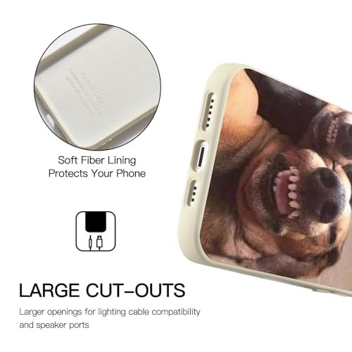 Coque amusante iPhone 16 cadeau original silicone résistant