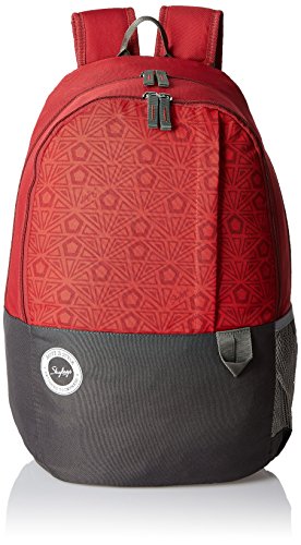 Backpack Grey And Red 27 Buy Skybags Mario 27 Ltrs Red Casual