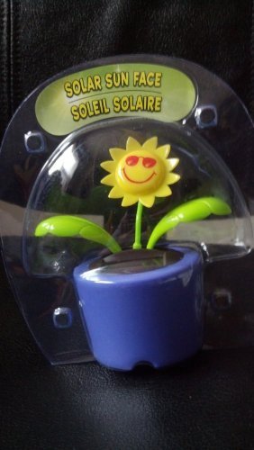 Solar Powered Dancing Sunshine Flowers, Daisies, Lady Bug, Bee, Butterfly, Bunny (Sunshine Flower Purple Pot 4 1/2