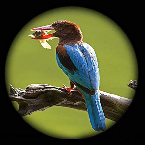 Telescopio refractor portátil con trípode y buscador miniatura 2