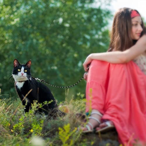 RANYPET Reflektierende Lange Leine für Katzen 9M/30FT Entfliehungssichere Laufleine Hof Lange Leine Langlebige Sichere Verlängerungsleine für Kätzchen, Welpen, Kaninchen und Kleintiere