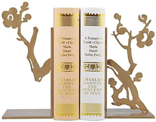 Serre-livres métal décoratif délicat et beau de style moderne JYDQM 22x10cm