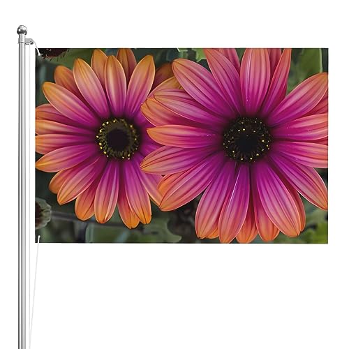 Drapeau de fleurs marguerite rose anti-décoloration pour jardin et maison