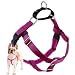 2 Hounds Design Freedom No-Pull Dog Harness | X-Small - XX-Large Adjustable Pet Harness for Small and Large Breeds | Made in USA (1" Large, Raspberry)