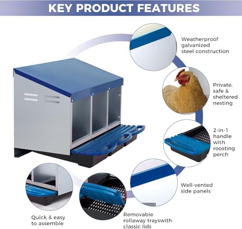 Chicken Nesting Box with Cleanable Pull Out Trays, 3 Hole Roll Away Nesting Box for Laying Hens, Wall Mount or Placed Design for Easy Egg Collection by PeacefulHues - Image 3