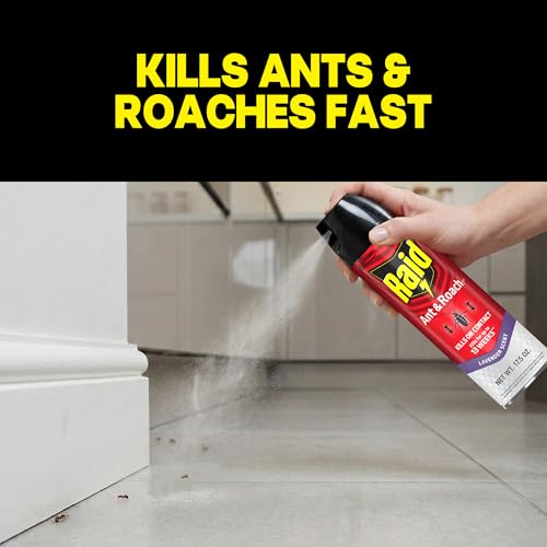 Image of Raid Ant & Roach Killer Spray For Listed Bugs, Keeps Killing for 13 Weeks, Lavender Scent, 17.5 oz