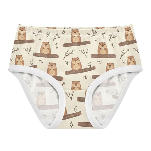 Girls Underwear Soft Cotton Beaver Kids Panties in Sizes 2/3t, 4t, 5t, 6 and 8