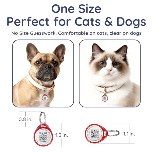 Médaille à code QR pour chien et chat en matériau durable premium - 7
