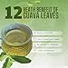 Green Life Guava Tea Leaves 150.