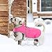 MIGOHI Warm Dog Coat Winter Dog Jacket,Waterproof Cold Weather Coats for Dogs,Fleece Jacket for Small Medium Large Dogs,Reflective Thick Fleece Vest with Leash Hole