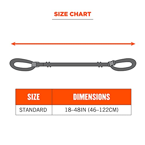 Image of Ergodyne Squids 3150 Lanyard with Buckle End, Easily Attaches to Hard Hat, Tools, or Small Valuables, Weight Capacity 2 lbs