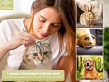 Zeckenzange Zeckenpinzette Zeckenentferner Hunde Pinzette Edelstahl 13,5 cm