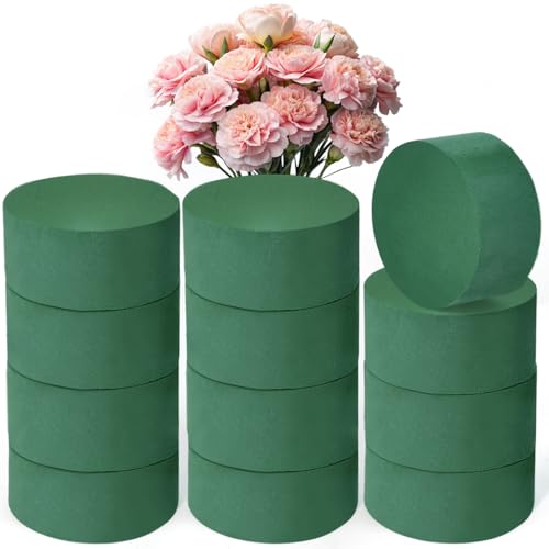UHETLET 12 Pièces Mousse Fleuriste 8x4cm Cylindres Mousse Florale Mousse Fleur a Piquer Bloc de Mousses pour Fleurs Ronde Vert Mousse Artificielle Bloc Mousse Florale pour Mariages, Fêtes, Jardin