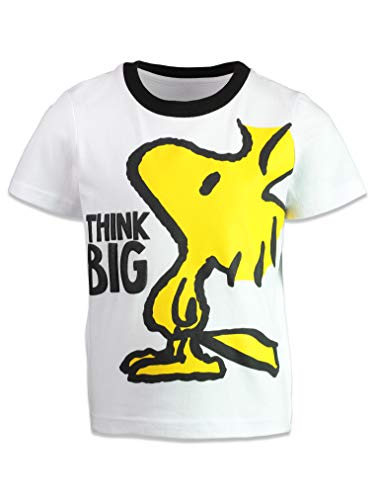 Peanuts Snoopy Charlie Brown Woodstock Big Boys 4 Pack Graphic T-Shirts Multi 18-20