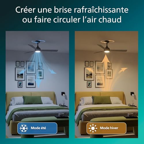 Ventilateur de plafond avec LED télécommande PHILIPS Civx 3 pales 2500 lumens - 5