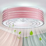 Linher 20'' Low-Profile Ceiling Fan with Dimmable-Light and Memory Remote Control, Reversible-Motor, Perfect for Bedroom, Kitchen, Outdoor Gazebo, Patio, Flush-Mount Pink Design with Cage