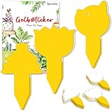 Reinalin 60 Piezas Trampa Moscas, Atrapa Moscas contra los Mosquitos de los Hongos, los pulgones, Las Moscas mineras y Las Moscas Blancas, Fungus Gnats