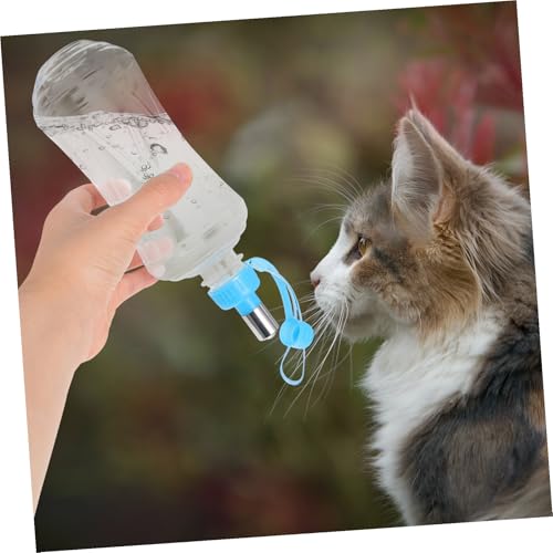 JEWEDECO 2 pgы Rh~Lbvt ybg{gΉ ^ѕ֗ yʃRpNg U s AEghAp