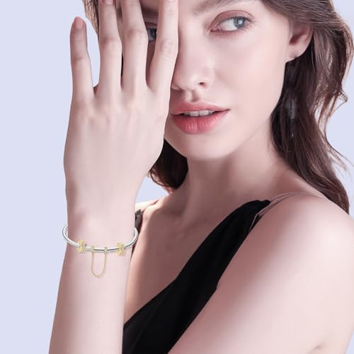 Golden Dangle Charm 925 Sterling Silver Charms for Bracelets and Necklaces Bead Charms with Cubic Zirconia Jewelry Charm for Women Family Friends3