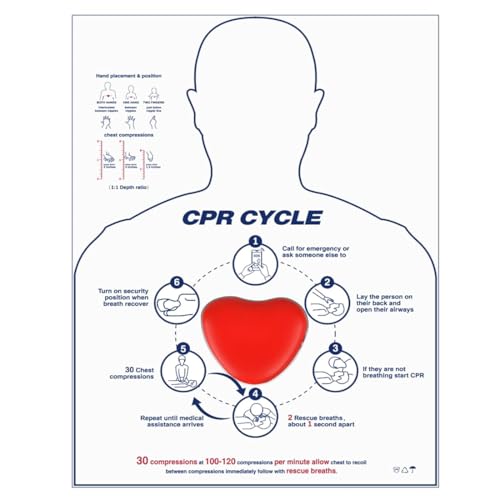 Image of CPR Saver Training Kit CPR Training Model Hands Only CPR Compression First Aid Teaching Exercises Tool for Medical Students, Emergency Teachers, Medical Staff