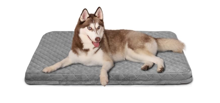 Dreamland Orthopedic Memory Foam Dog Bed, Light Grey, (39x33.5x2) inches, with Washable Flannel Cover (B0CYN3VMVL) Amazon Price History, Amazon Price Tracker