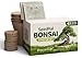 SeedPal Easy Bonsai Starter Kit - Bonsai Anzuchtset 4 versch. Bonsai Samen - Züchte deinen wunderschönen Bonsai Baum - Geschenkset/Pflanzset inkl. Anleitung & Zubehör KIT günstig Kaufen-SeedPal Easy Bonsai Starter Kit - Bonsai Anzuchtset 4 versch. Bonsai Samen - Züchte deinen wunderschönen Bonsai Baum - Geschenkset/Pflanzset inkl. Anleitung & Zubehör